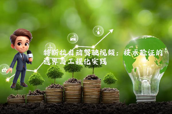 特斯拉自动驾驶视频：技术验证的边界与工程化实践