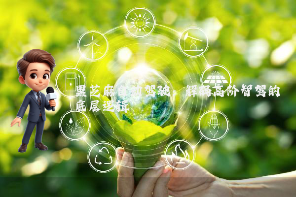 黑芝麻自动驾驶：解码高阶智驾的底层逻辑