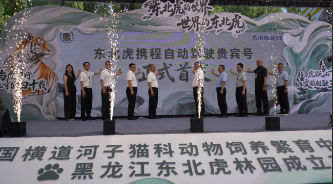 全球首款！金旅自动驾驶观虎神车正式上线，惊艳全球老虎日